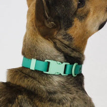 Load image into Gallery viewer, Two-Tone Dog Collar