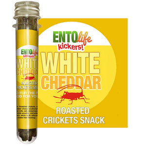 Mini Kickers | Flavored Crickets