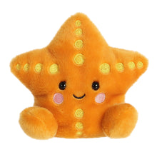 Load image into Gallery viewer, Treasure Starfish