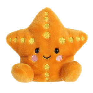 Treasure Starfish