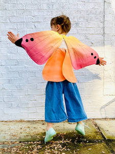 Butterfly Fairy Wings