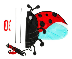 Ladybird Kite