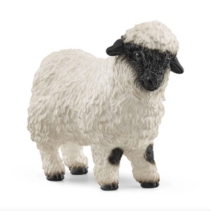 Blacknose Sheep