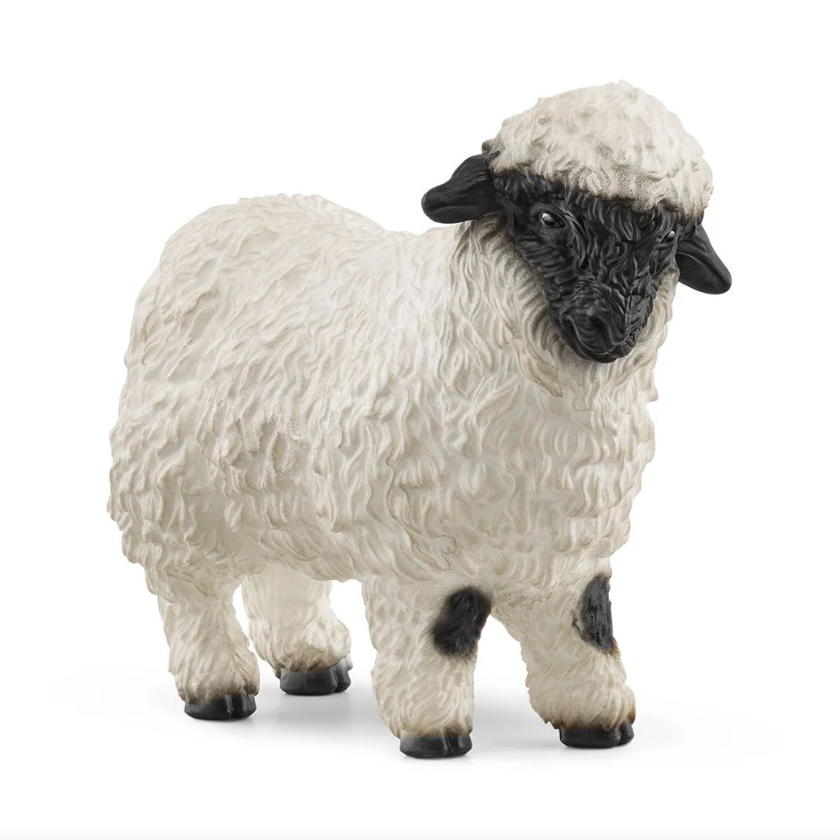 Blacknose Sheep