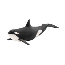 Schleich Killer Whale