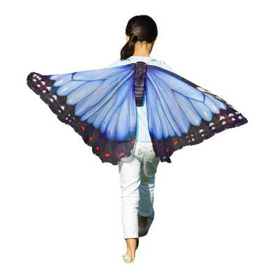 Butterfly Wings