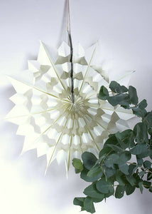 Geometric Paper Snowflake