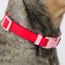 Load image into Gallery viewer, Two-Tone Dog Collar